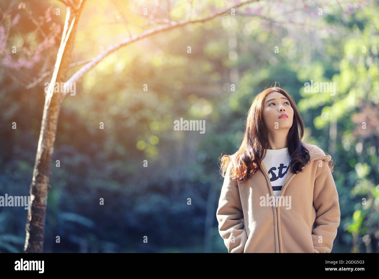 Asiatische Frau mit Kirschblüte Natur Hintergrund Stockfoto