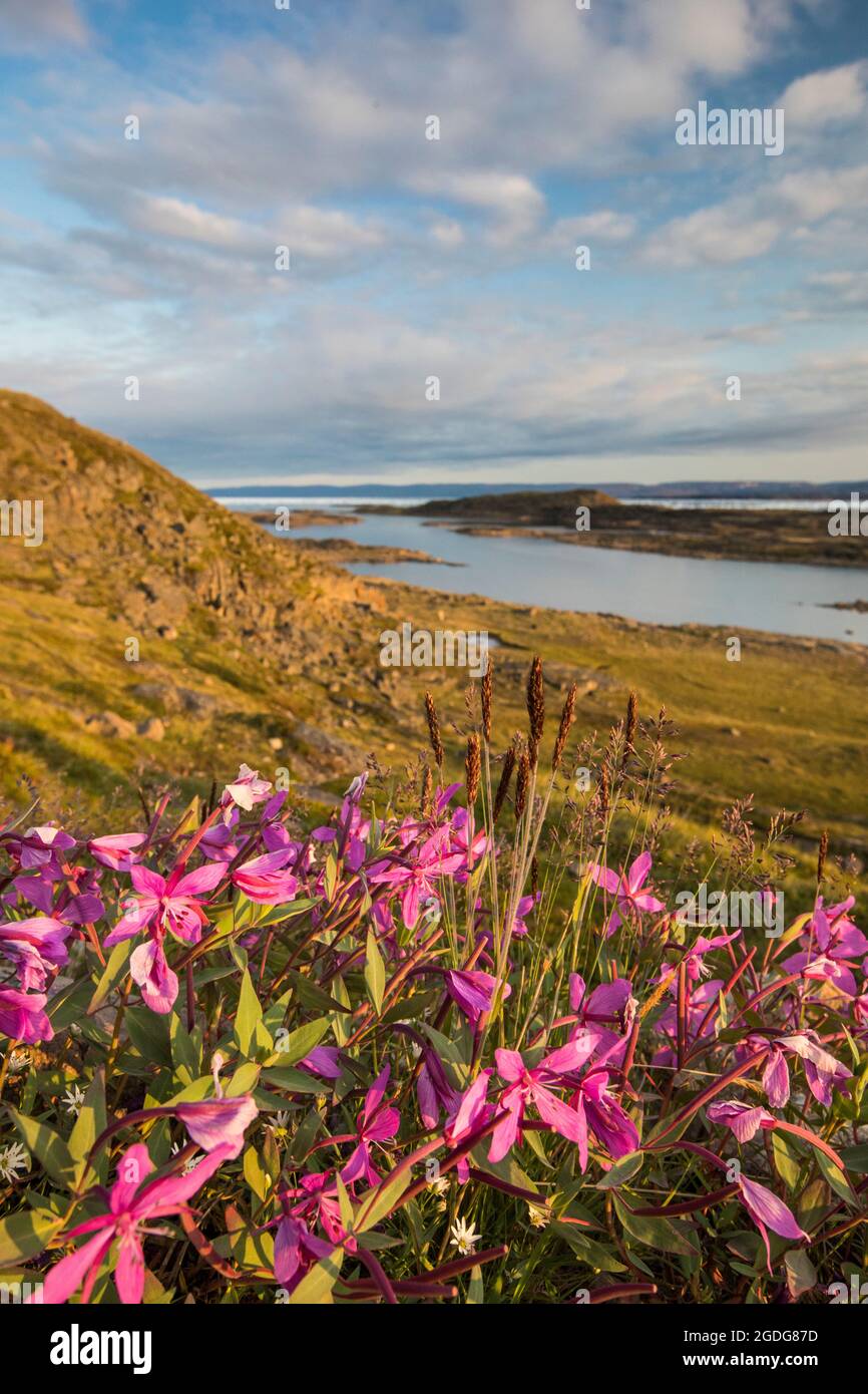 Sylvia Grinnell Park Pavilion, Iqaluit, Baffin Island, Kanada Stockfoto