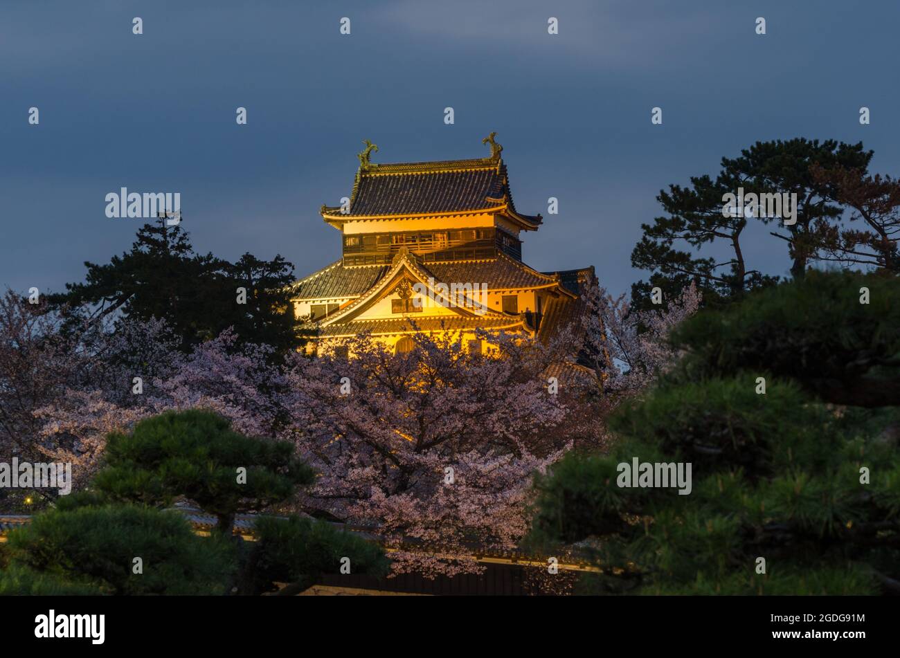 Schloss Matsue mit eingeschaltetem Gartenligten an einem bewölkten Abend Stockfoto