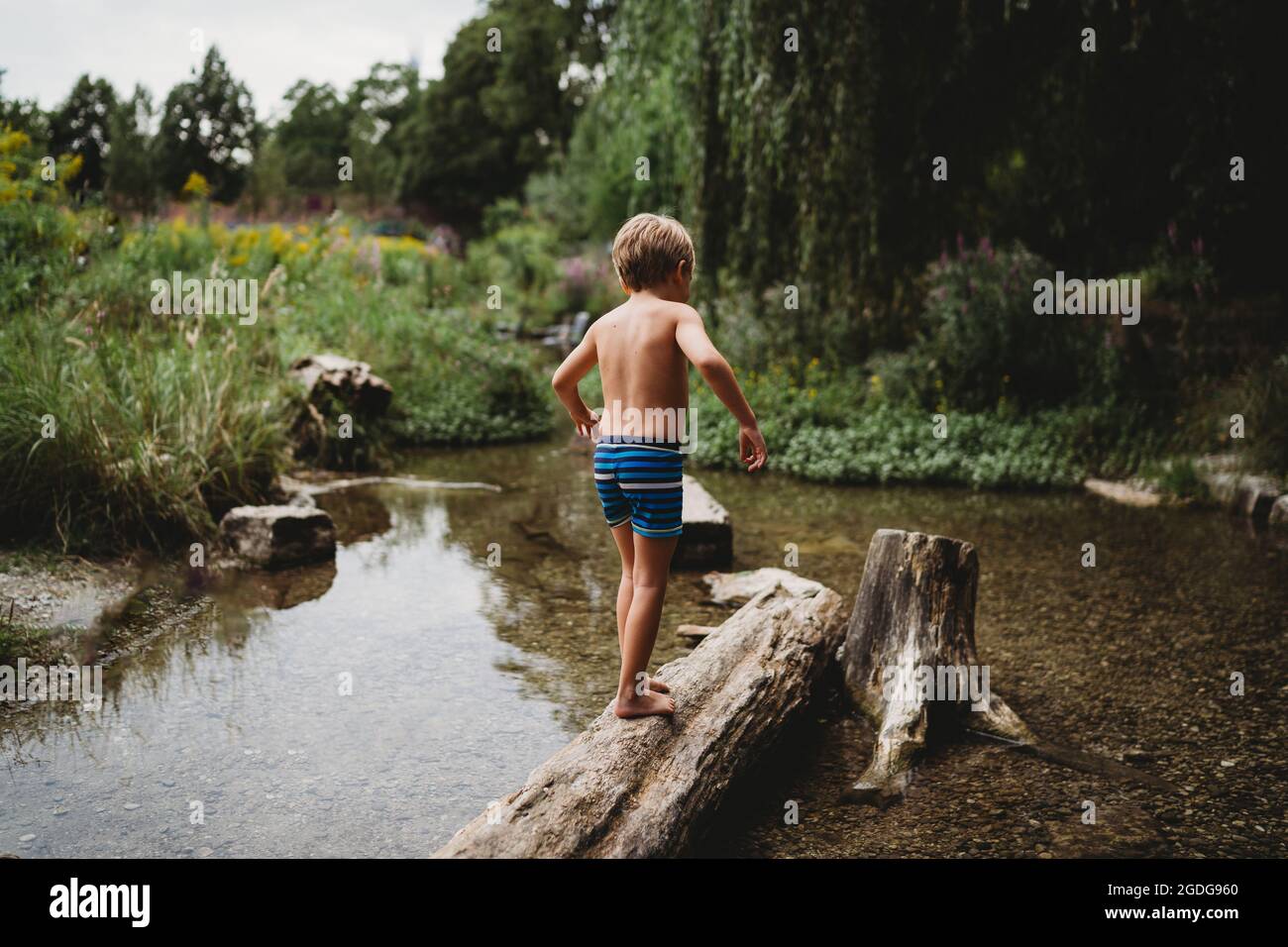 Rückansicht des Jungen, der im Sommer barfuß auf dem Holzstamm im Wasser im Bach läuft Stockfoto