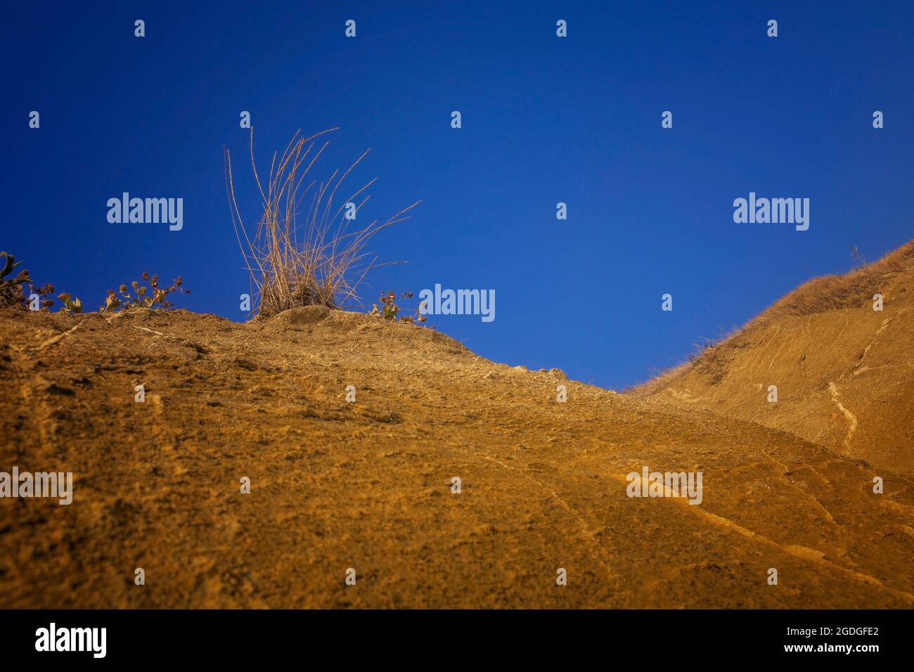 Große Sanddünen. Wüsten- oder Strandsand. Stockfoto