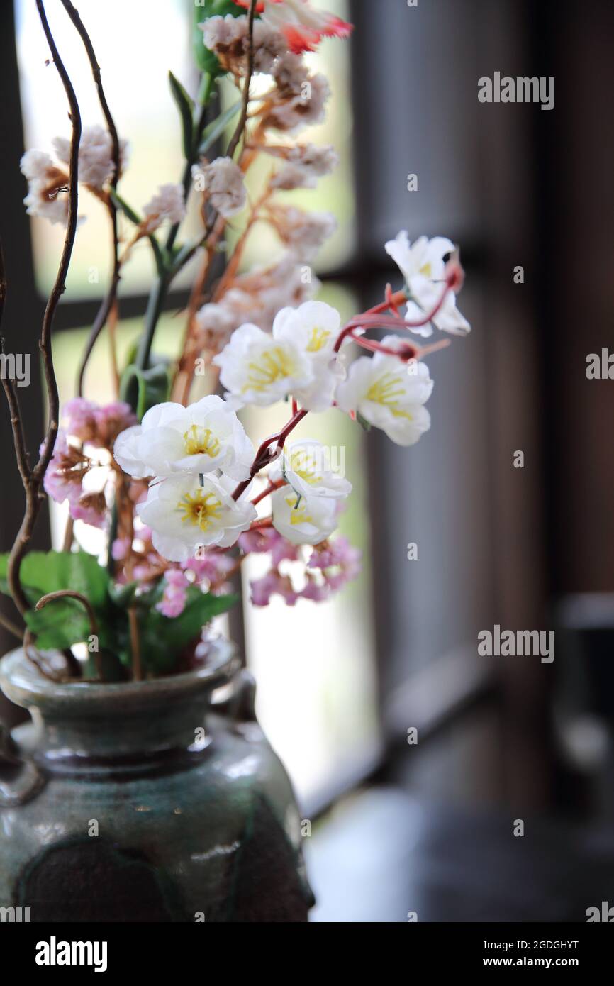 Blume in Jar Stockfoto
