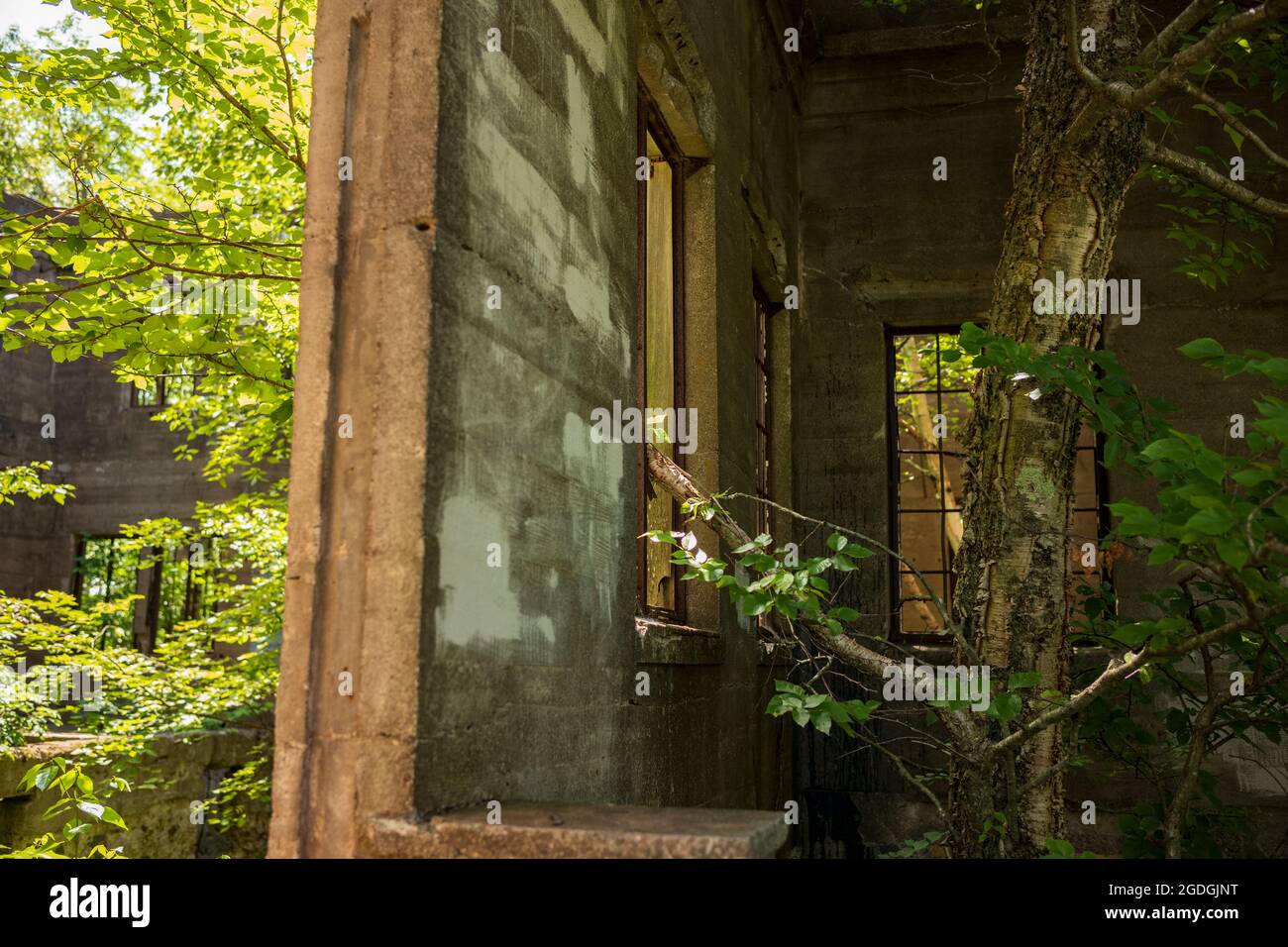 Die Skelettreste des Catskills Hotels, das Overlook Mountain House, begrüßen Wanderer, die auf den Gipfel des Overlook Mountain in der Nähe von wo reisen Stockfoto
