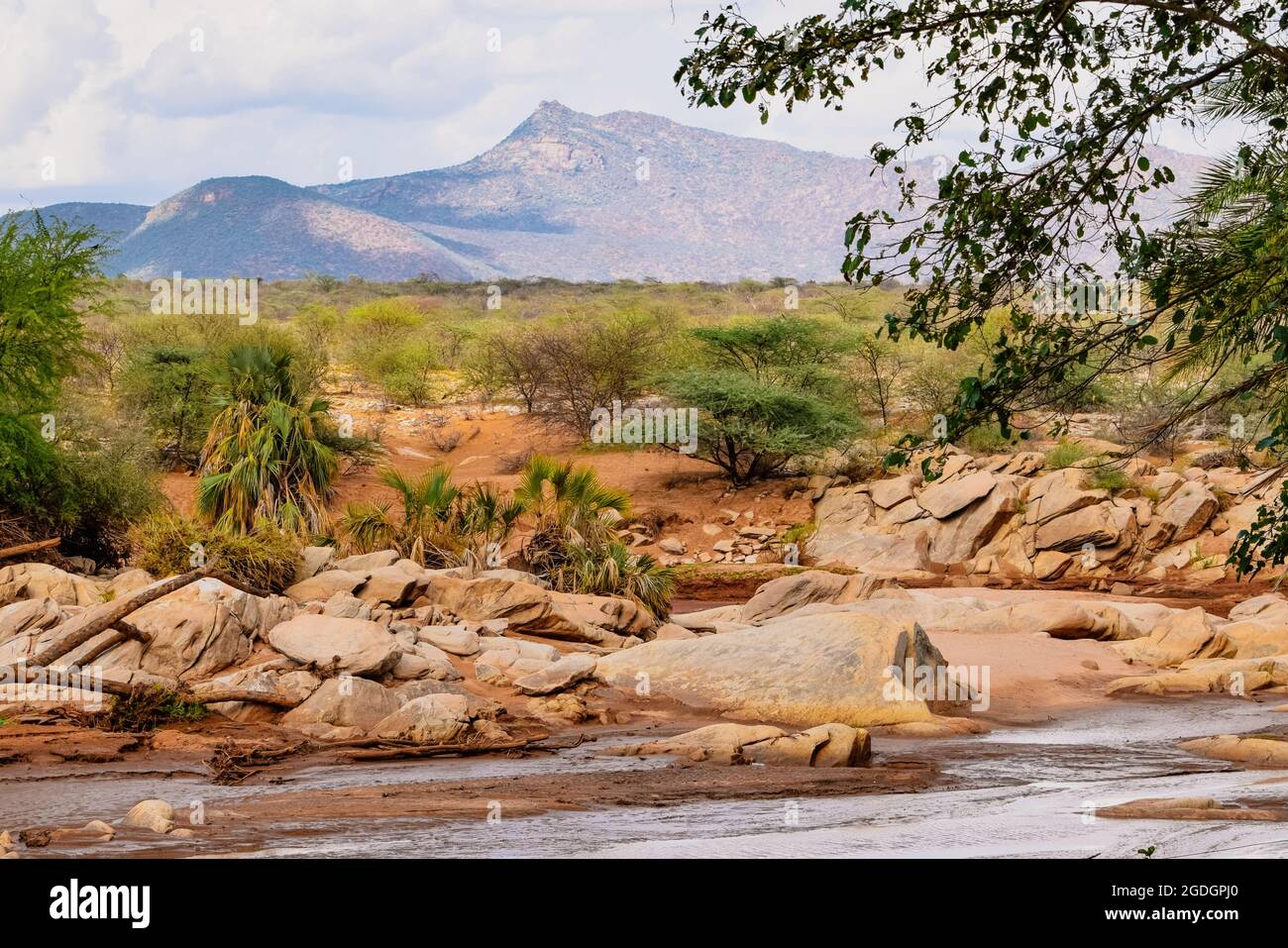 Panoramablick auf den Fluss Ewaso Nyiro im Samburu National Park, Kenia Stockfoto