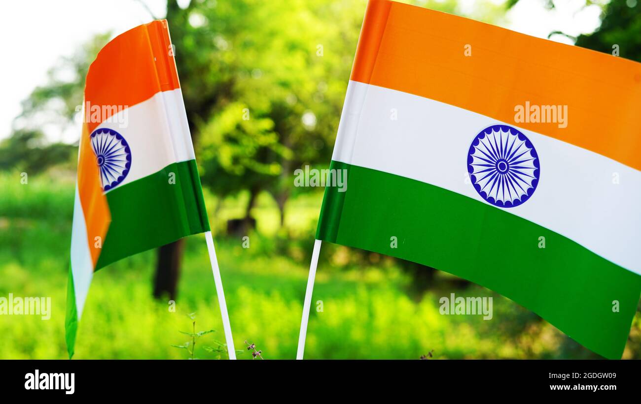Zwei indische Tricolor Nationalflaggen im Naturhintergrund. Unabhängigkeitstag und Tag der Republik Indien. 15. August Inder Tiranga kreuzte Nahaufnahme, F Stockfoto