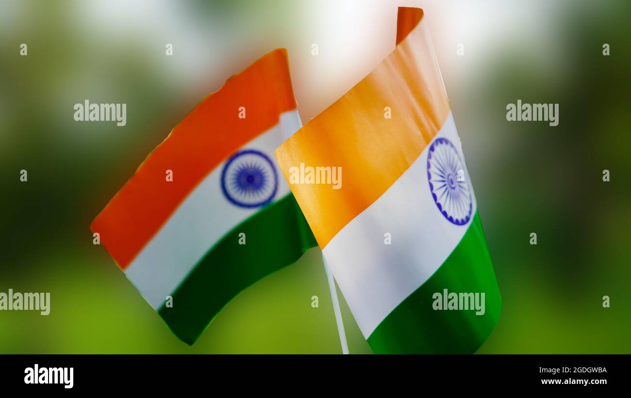 Zwei indische Tricolor Nationalflaggen im Naturhintergrund. Unabhängigkeitstag und Tag der Republik Indien. 15. August Inder Tiranga kreuzte Nahaufnahme, F Stockfoto