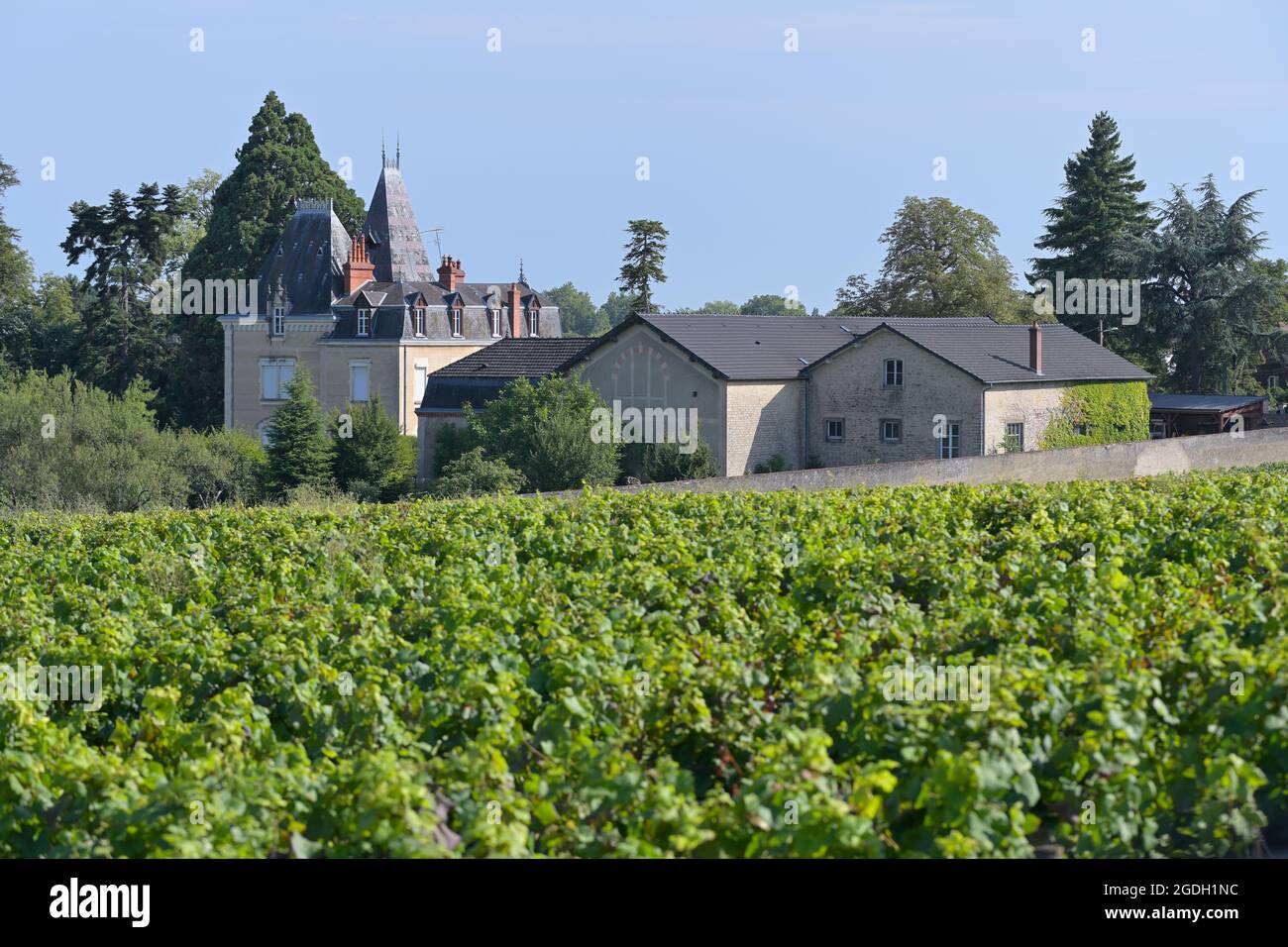 Domaine Albert Morot mit den Clos Les Teurons Weinbergen des Hospice de Beaune, Beaune FR Stockfoto