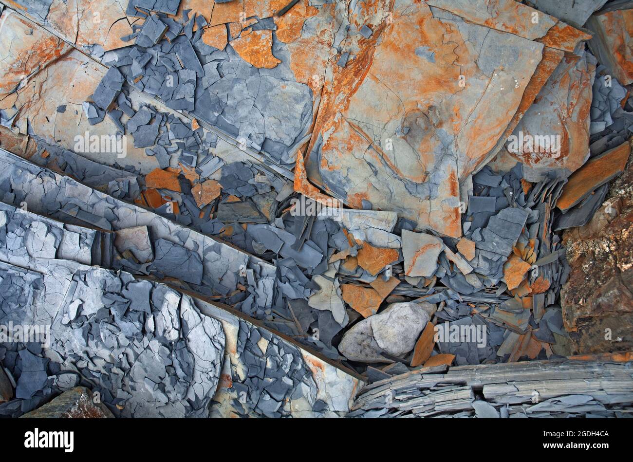 Felsformen an der Küste von Pembrokshire Stockfoto