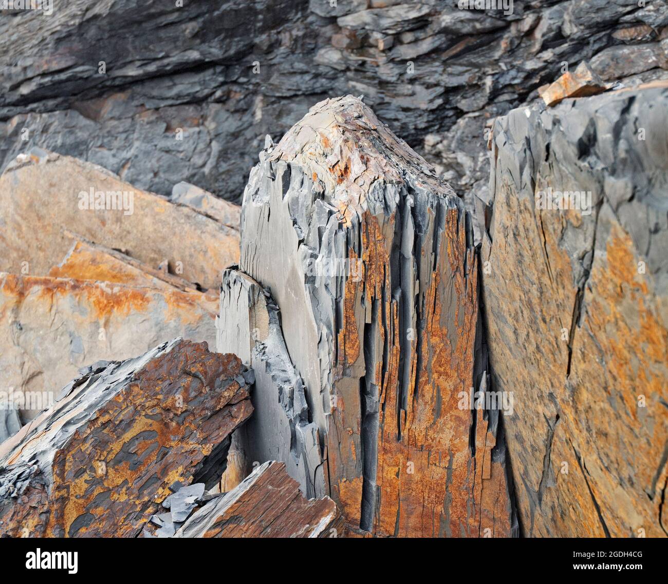 Felsformen an der Küste von Pembrokshire Stockfoto