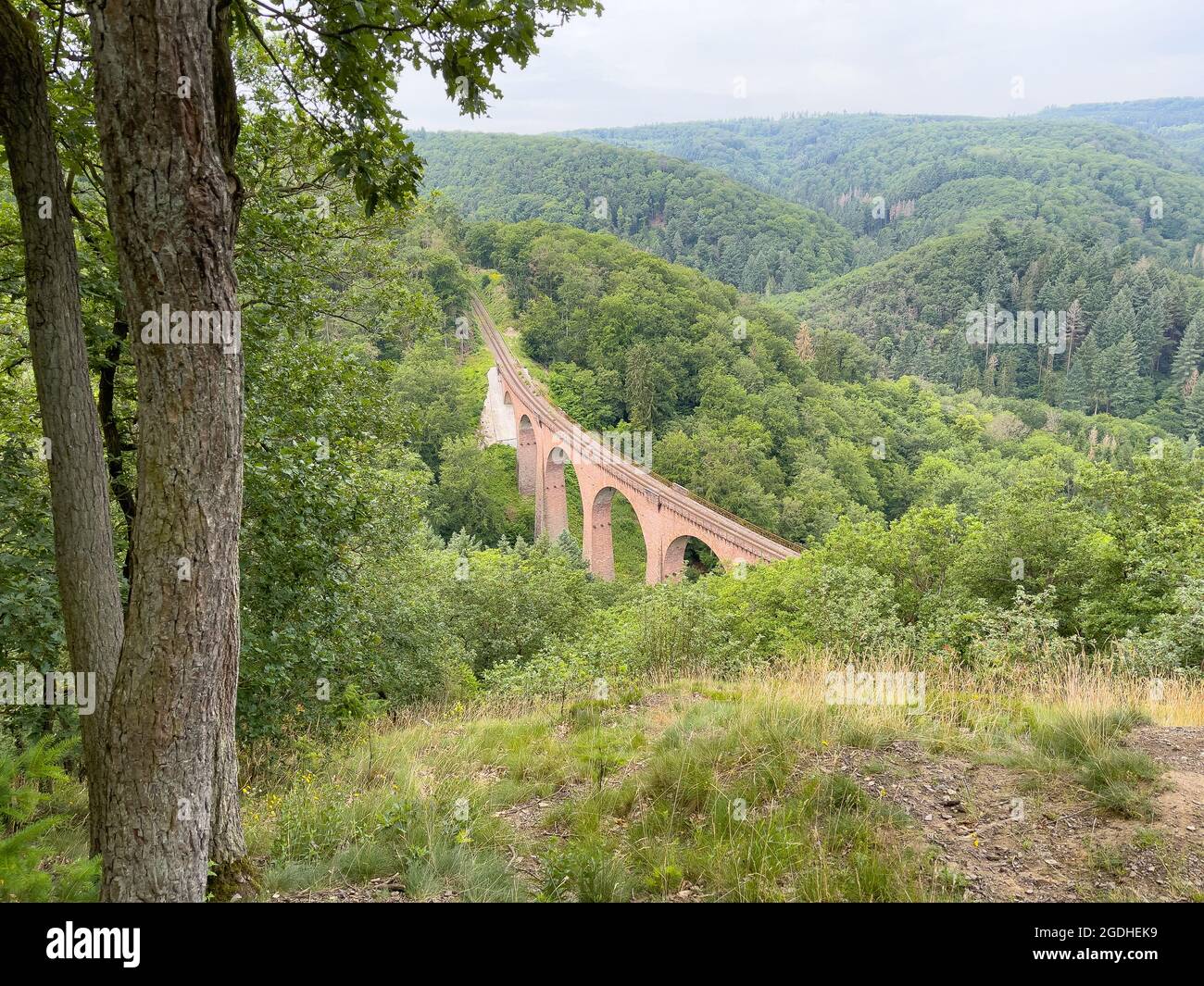 Ein Pfad mit Bäumen auf der Seite eines Berges mit einer Brücke im Hintergrund. Stockfoto