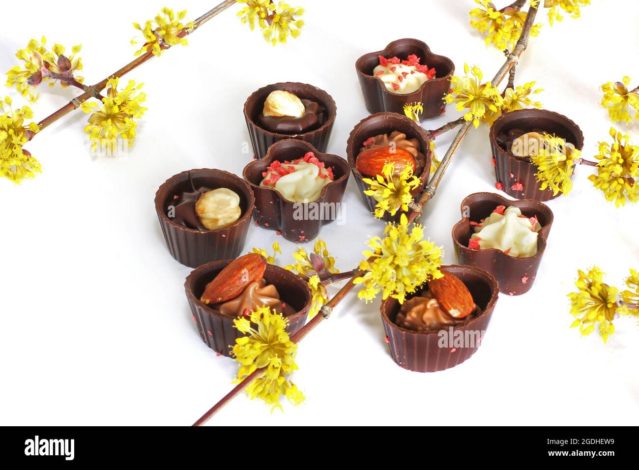 Schokolade Bonbons mit Nüssen auf weißem Hintergrund Stockfoto