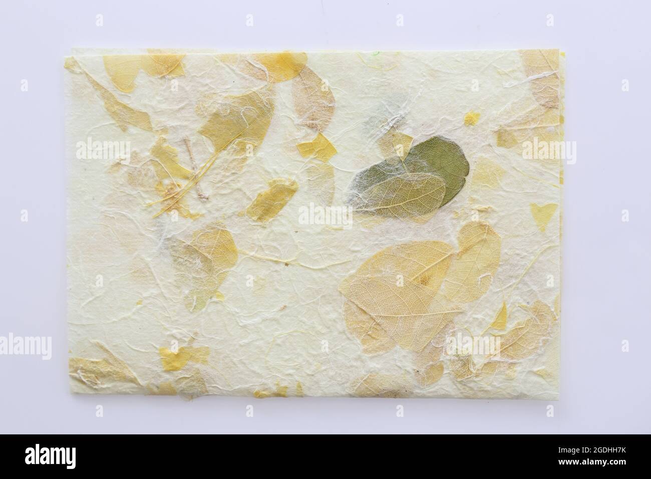 Gestreifte Blumen auf Mulberry Papier Textur Hintergrund Stockfoto