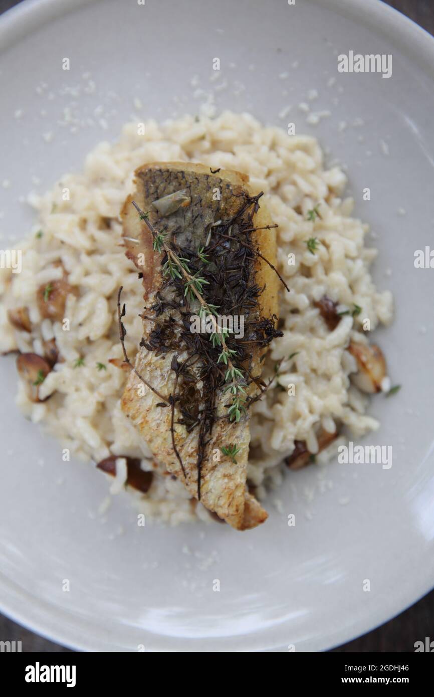 Risotto mit Seebarsch-Filetsteak auf Holzhintergrund, italienische Küche Stockfoto