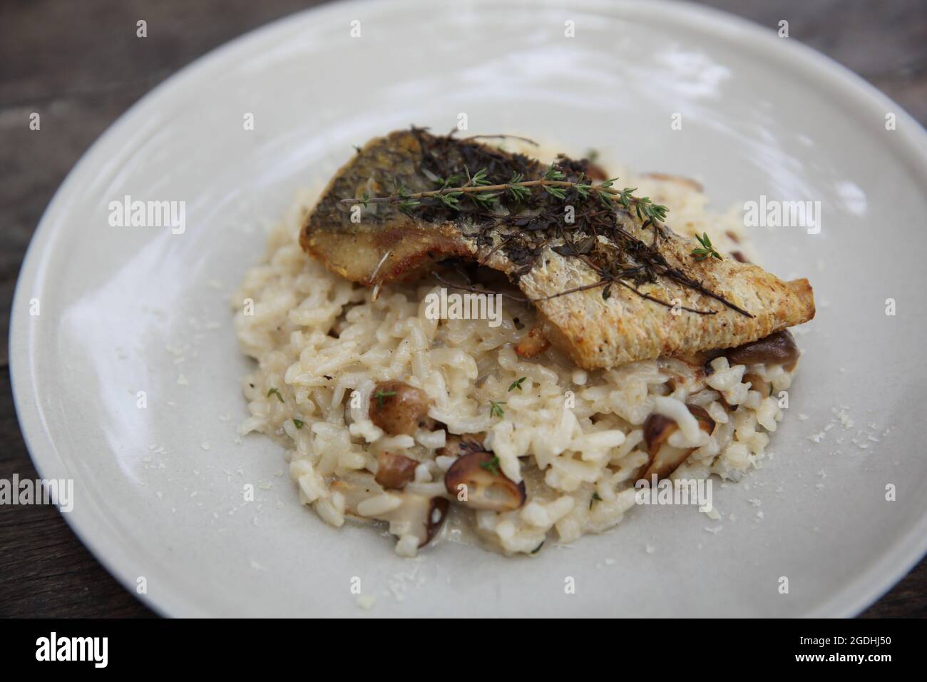 Risotto mit Seebarsch-Filetsteak auf Holzhintergrund, italienische Küche Stockfoto