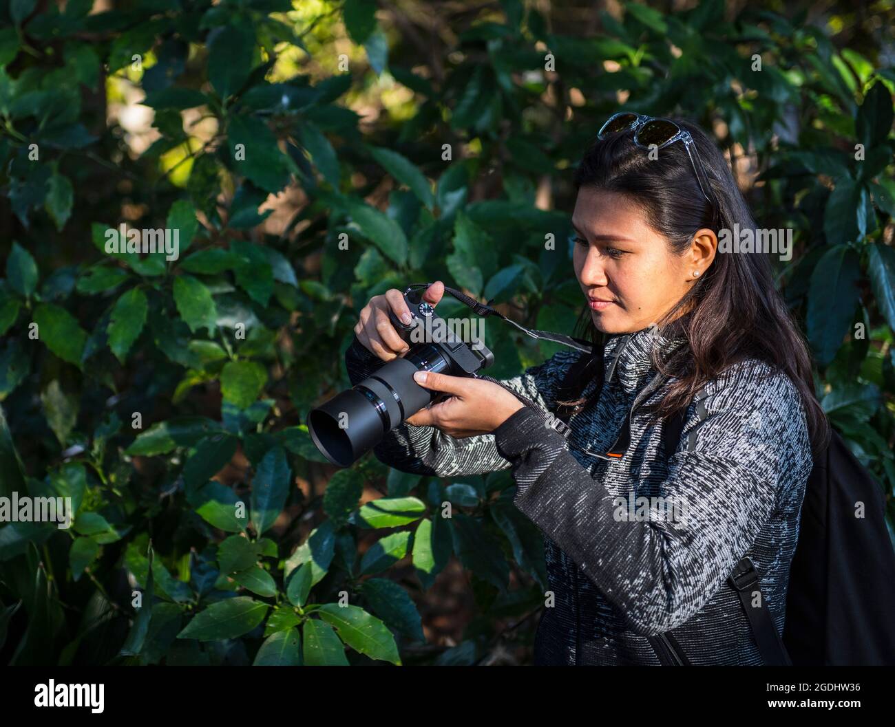 Frau, die ein Foto mit einer spiegellosen digitalen Kamera gemacht hat Stockfoto