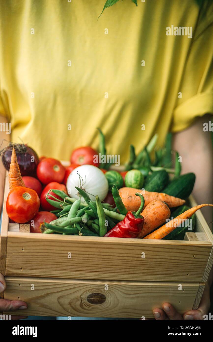Frau hält frisch geerntetes Gemüse in einer Kiste auf Bio Stockfoto