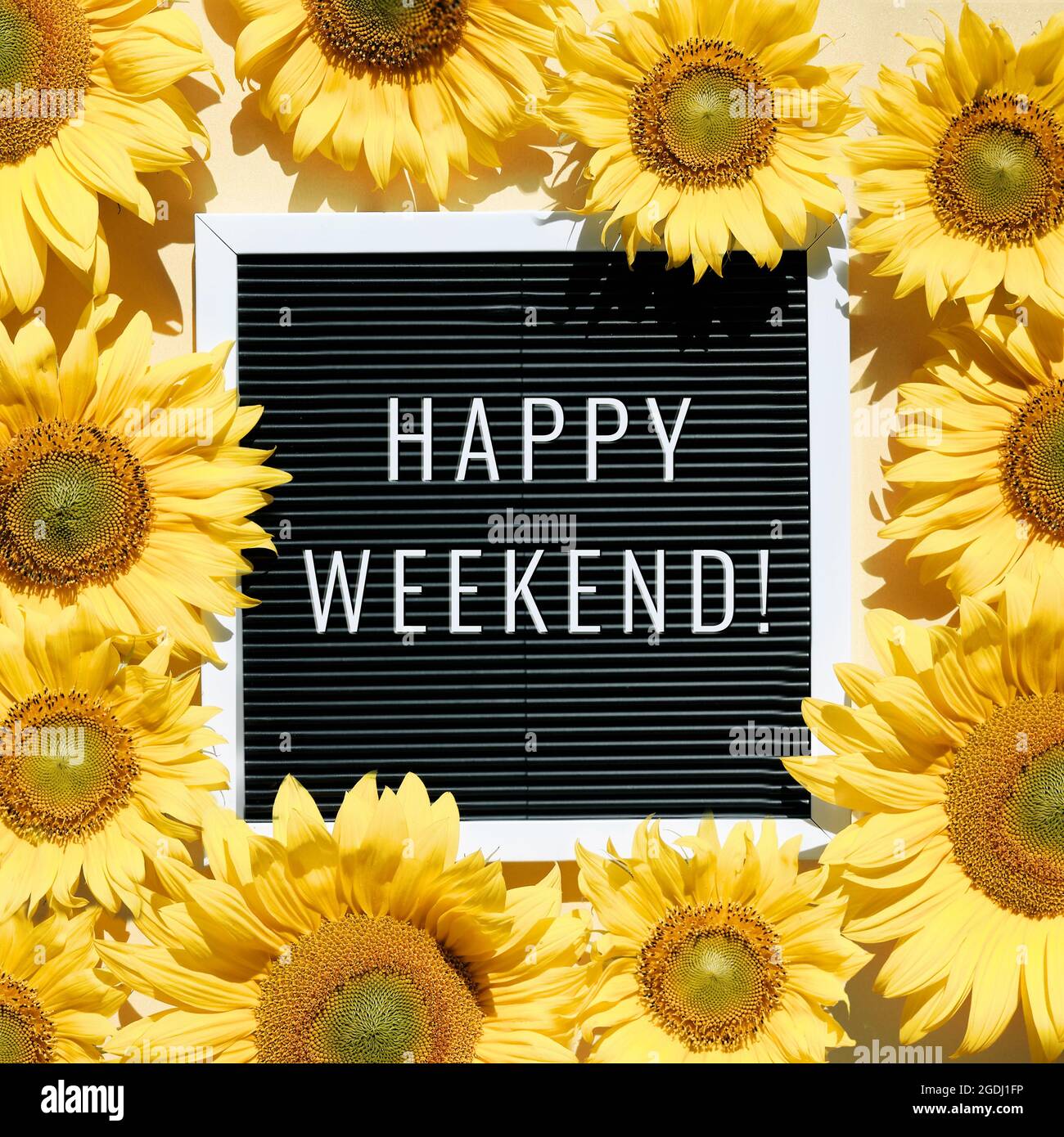 Happy Weekend, Text auf Brieftafel mit Sonnenblumen. Flaches Lay mit natürlichen Blumen und Motivationsbotschaft auf schwarzem Briefpapier. Blick von oben, quadratisch Stockfoto