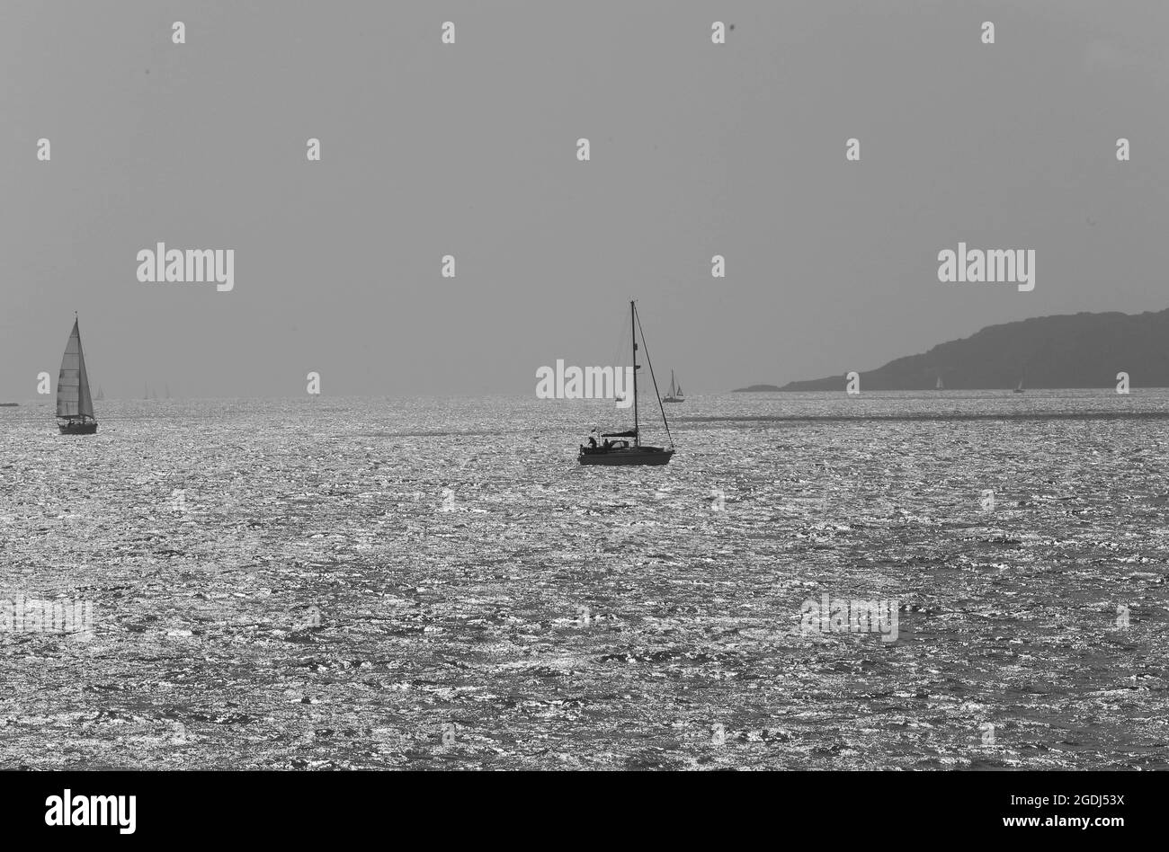 Schwarz-weißes Bild von Segelyachten Stockfoto