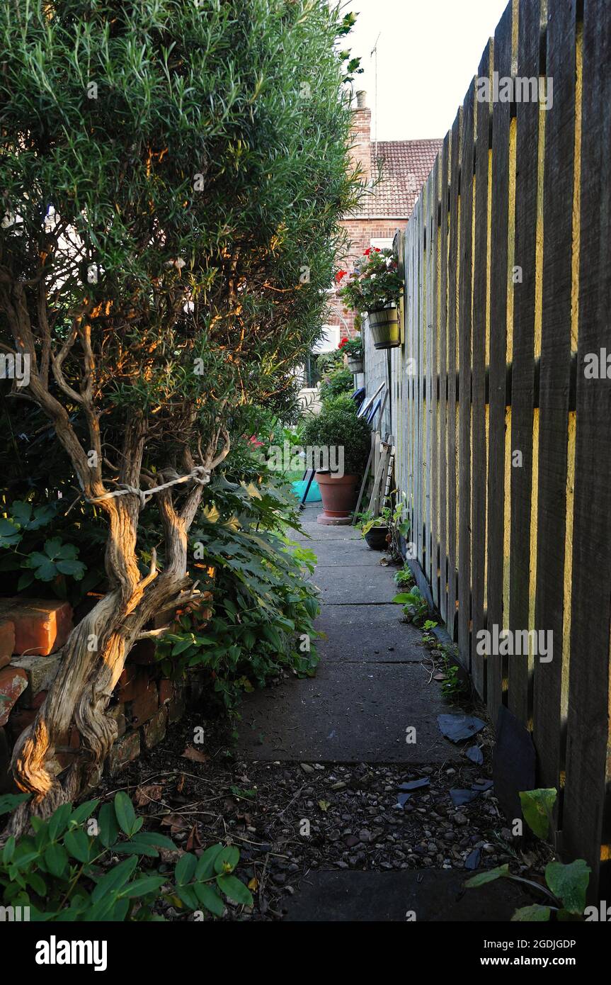 Niedriger Winkel Blick auf einen Weg im Garten mit hölzernen Pfostenzaun Stockfoto