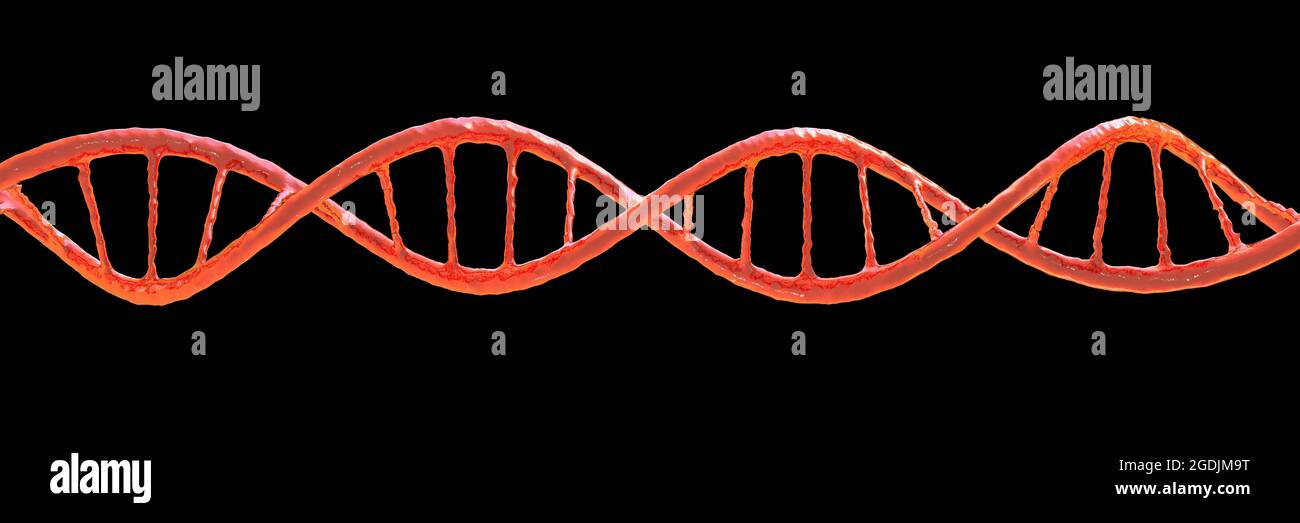 DNA-Molekül, Abbildung Stockfoto