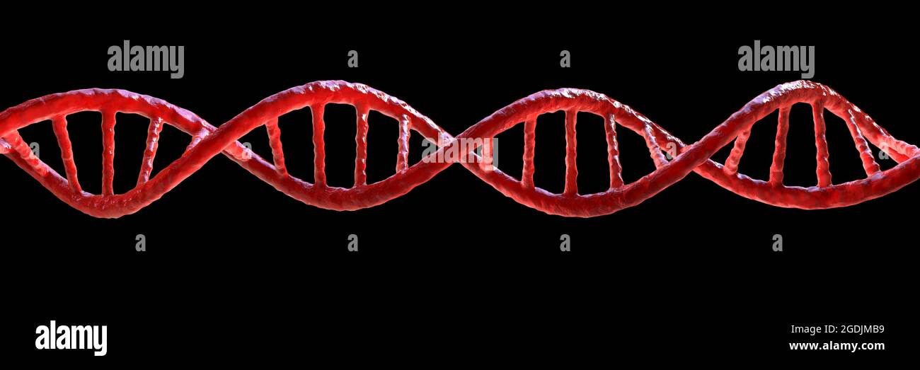 DNA-Molekül, Abbildung Stockfoto