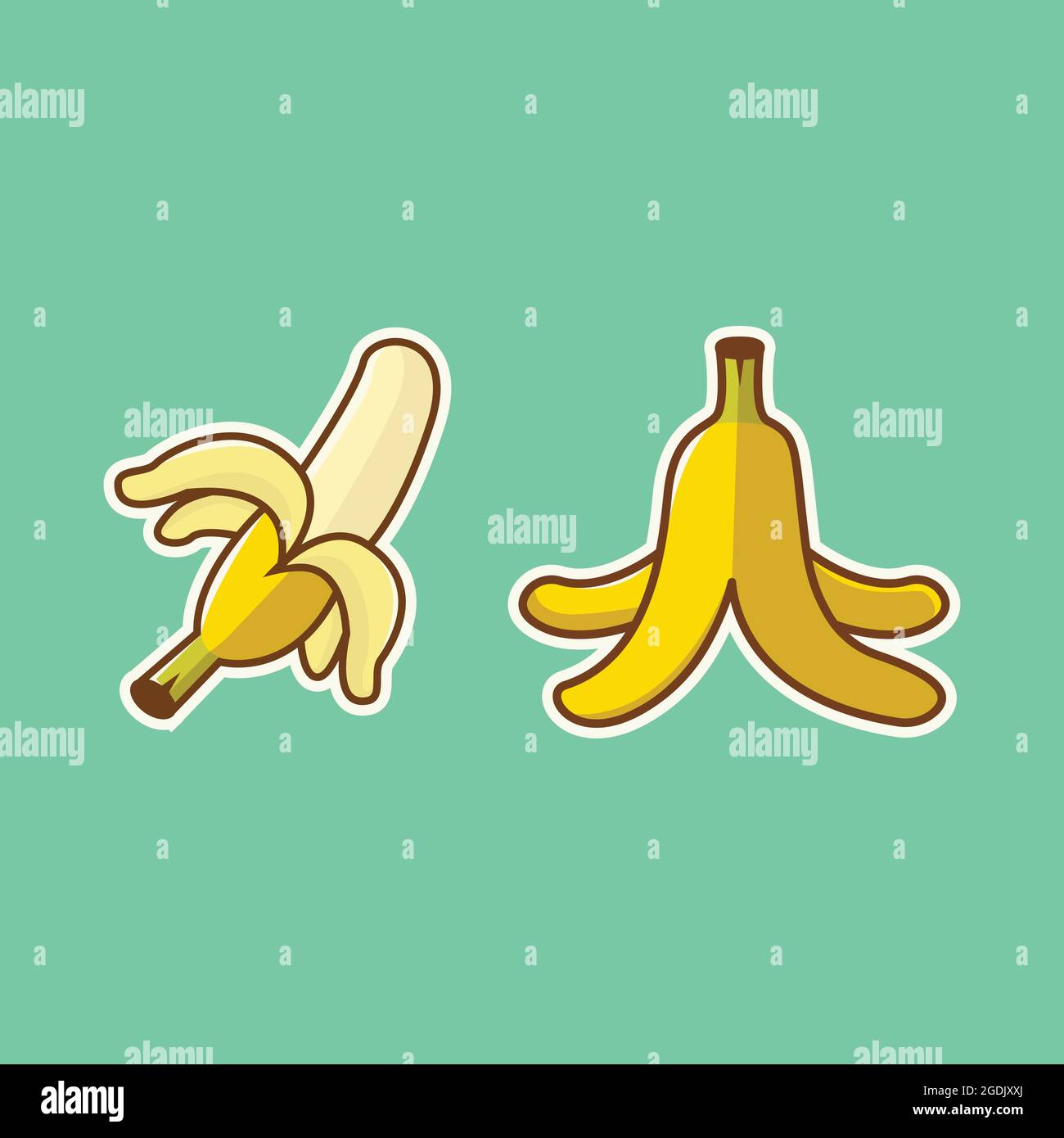 Bananenset Fruchtvektor Illustration, Bananenvektor, Bananenbild, zwei Bananen, tropisches Fruchtbild Stock Vektor