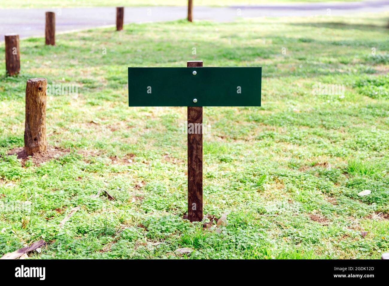 Kleines grünes Holzschild für Mockup. Speicherplatz kopieren. Stockfoto