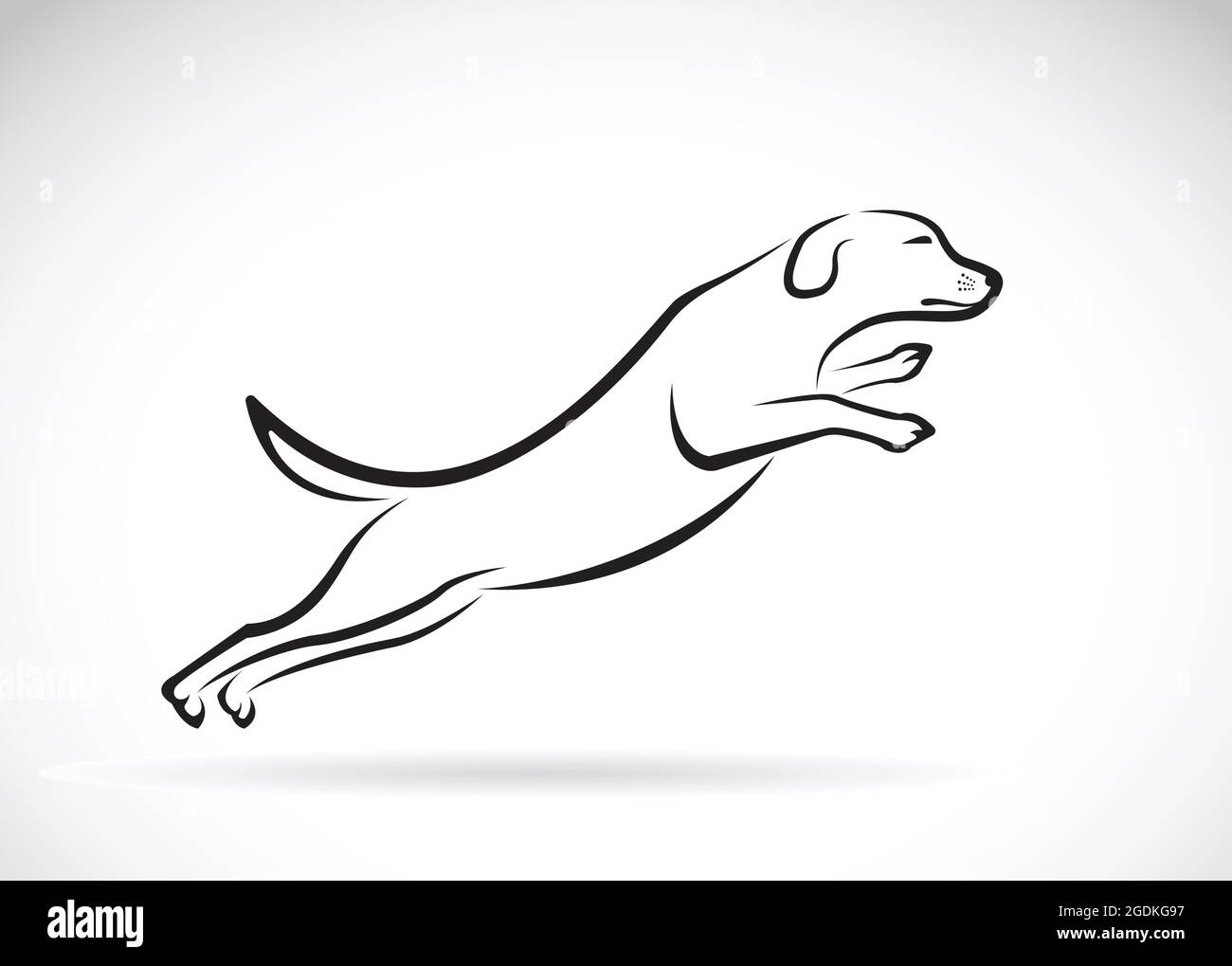 Vektorbild eines Hundes springen auf weißem Hintergrund, Vektor Hund für Ihr Design. Leicht editierbare Vektorgrafik mit Ebenen. Tiere. Stock Vektor