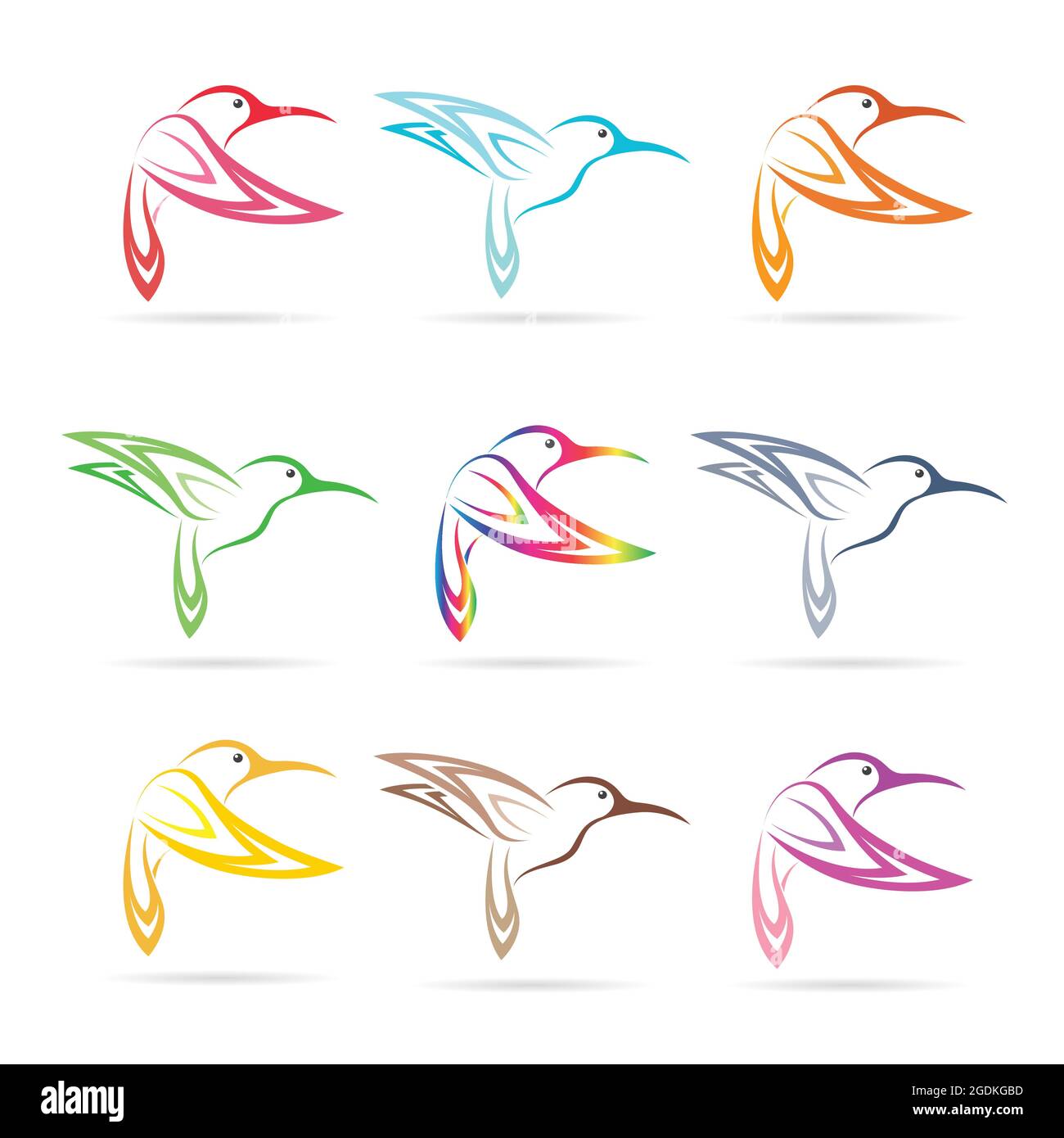 Vektor-Gruppe von Kolibri auf weißem Hintergrund. Leicht editierbare Vektorgrafik mit Ebenen. Wilde Tiere. Stock Vektor