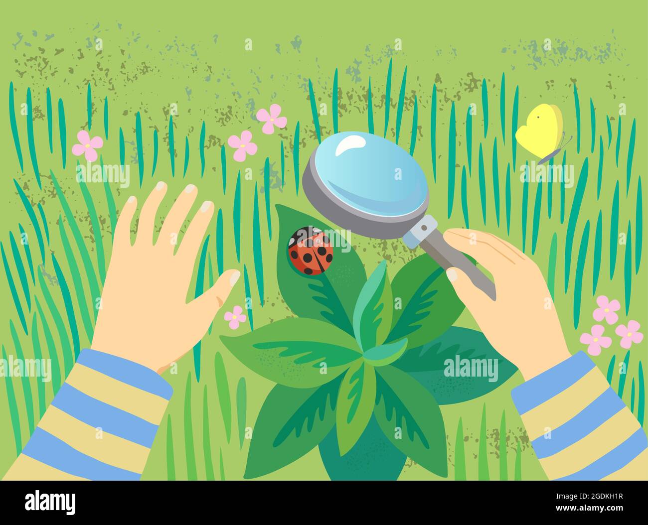 Das Kind untersucht einen Marienkäfer durch eine Lupe im grünen Gras. Aus Sicht der ersten Person. Konzeptionelle Illustration mit Kopierbereich Stock Vektor
