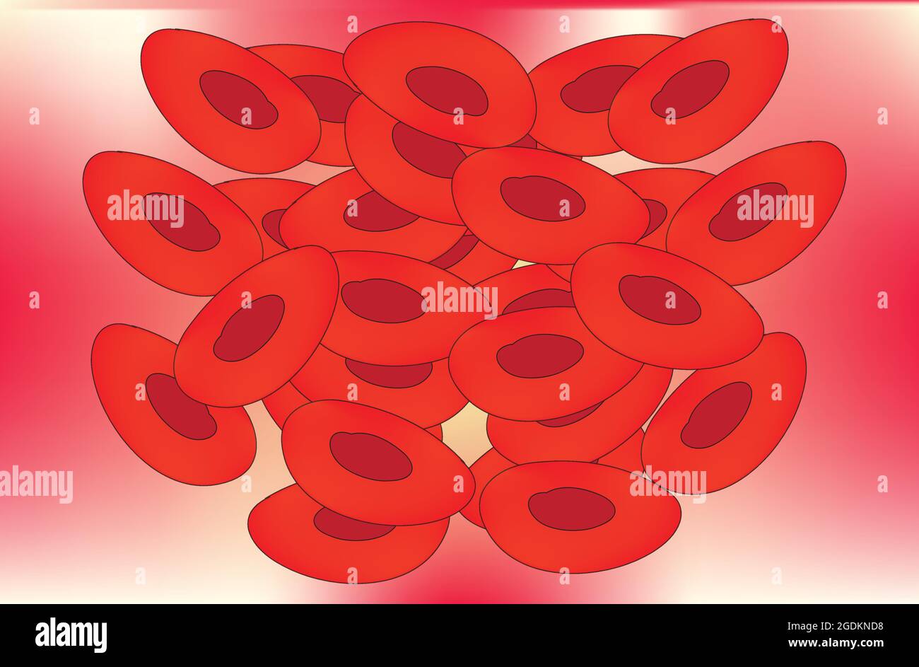 Cluster von roten Blutkörperchen, Blutgerinnsel, Blutklumpen, die sich von einer Flüssigkeit in einen gelartigen oder halbfesten Zustand geändert haben, verhindern den Verlust von zu viel Blut Stock Vektor