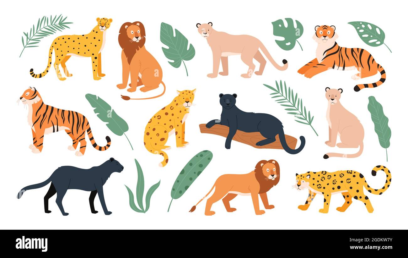 Große Katzen Familie Tiere, Tiger, Löwe, Gepard und Leopard. Wildkatzen aus  Savanne und tropischem Wald. Flacher Vektor-Satz von Jaguar und Panther  Stock-Vektorgrafik - Alamy