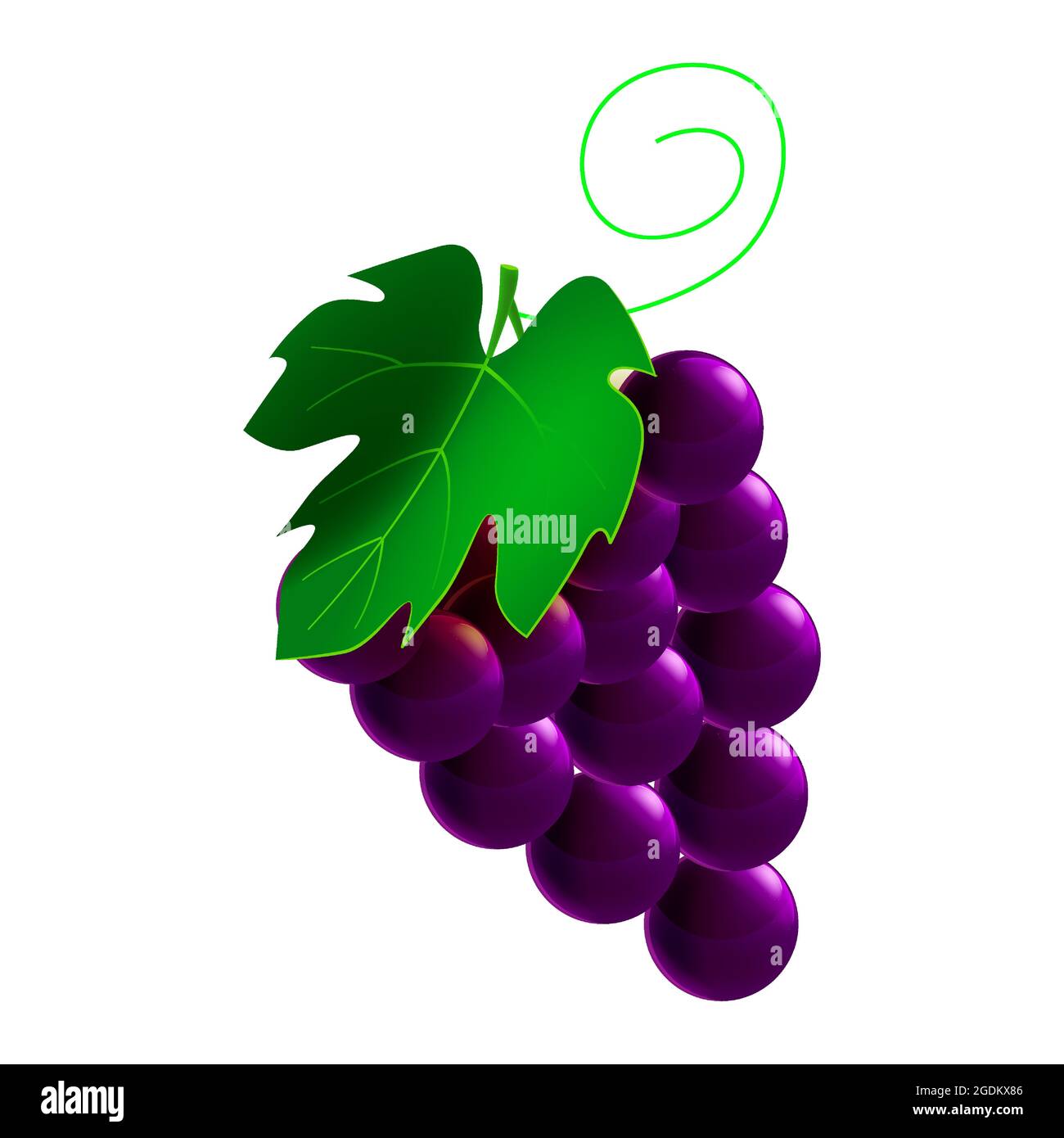 Trauben reif, Ast ganz frisch Bio, schwarze Farbe, Ikone. Vektorgrafik Symbol Symbol Cartoon Stock Vektor