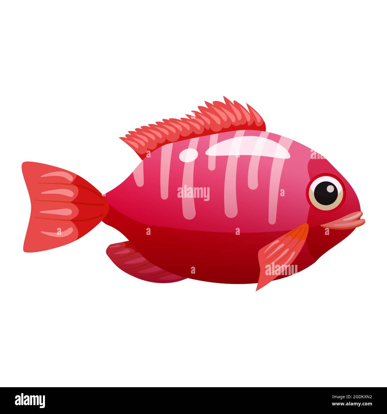 Tropischer roter Fisch, Korallenriff exotisches Haustier. Aquarium Sea Life, Vektor illustrartion Cartoon-Stil Stock Vektor