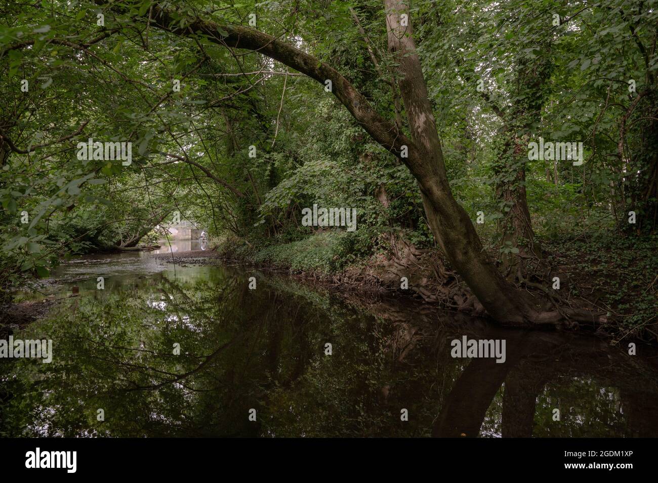 Shire Country Park neben Sarehole Mill, Birmingham. Der Fluss Cole windet sich durch das Gebiet, in dem JRR Tolkien aufgewachsen ist Stockfoto