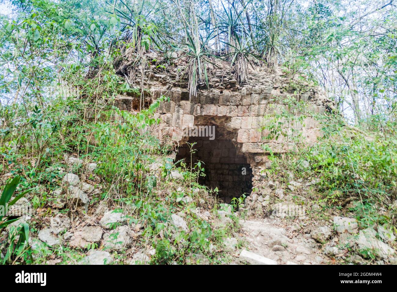 Ruinen der alten Maya-Stadt Uxmal, Mexiko Stockfoto