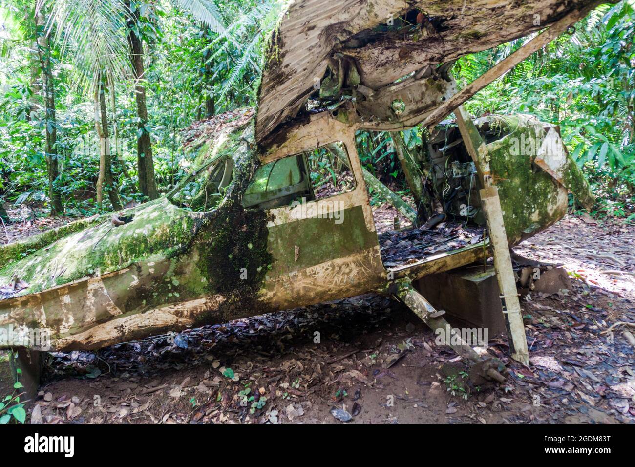 Flugzeugwrack im Cockscomb Basin Wildlife Sanctuary, Belize. Dieses Flugzeug stürzte mit Dr. Alan Rabinowitz ab, einem Biologen, der Jaguare untersucht. Stockfoto