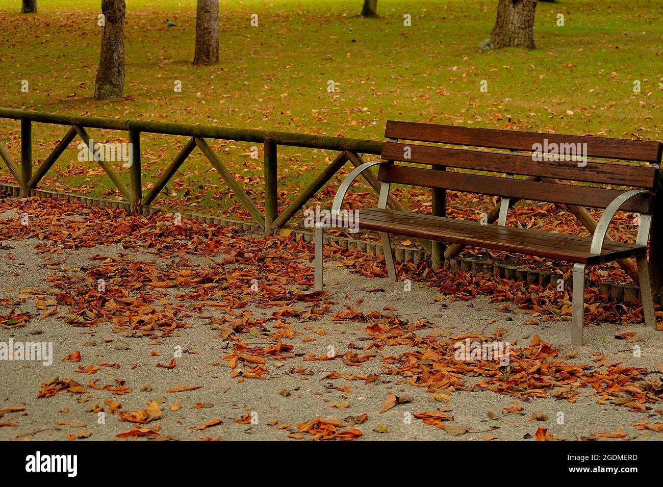 Holzbank im Park, umgeben von heruntergefallenen Blättern. Herbstszene. Stockfoto