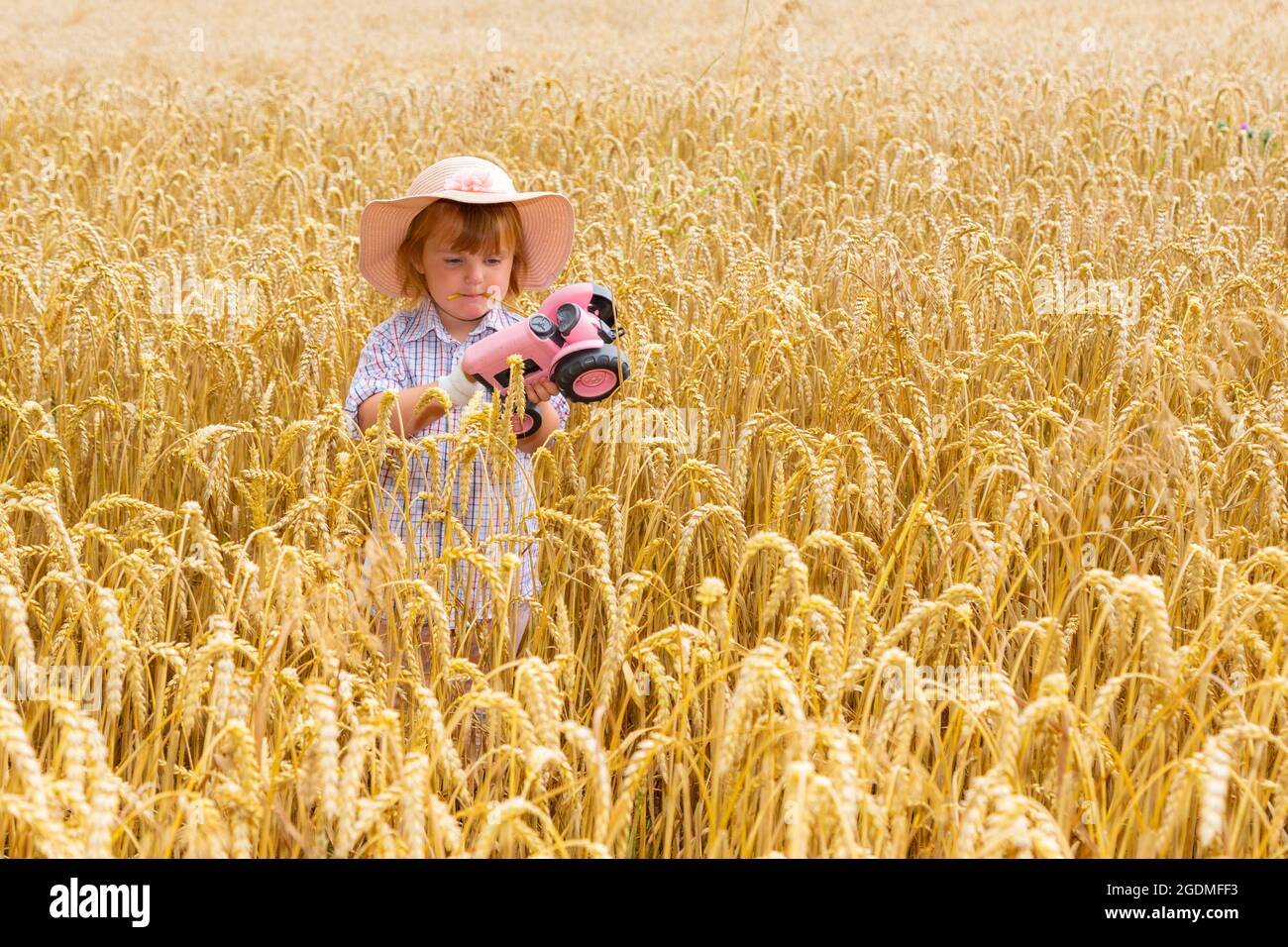 Arley, Worcestershire, Großbritannien. August 2021. Die 2-jährige Myla-May Mills genießt die letzten Tage auf dem Weizenfeld ihres Nachbarn in Arley, Worcs, bevor die Ernte beginnt. Kredit: Peter Lopeman/Alamy Live Nachrichten Stockfoto