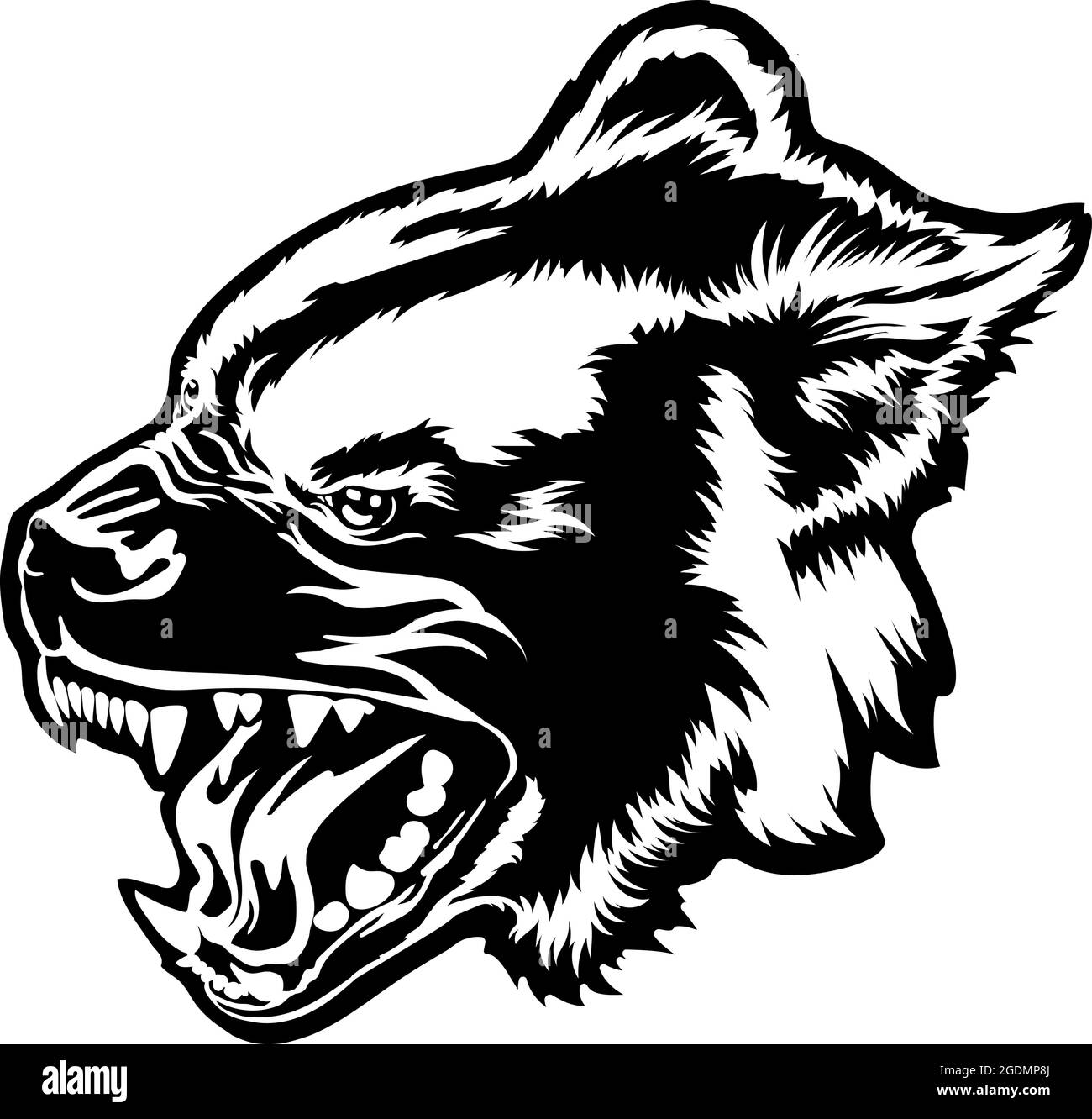 Darstellung des Hyänen-Vektors. Wilde Prärietiere, Hyänen-Kopf auf weißem Hintergrund. Zeichnung für T-Shirt Stock Vektor