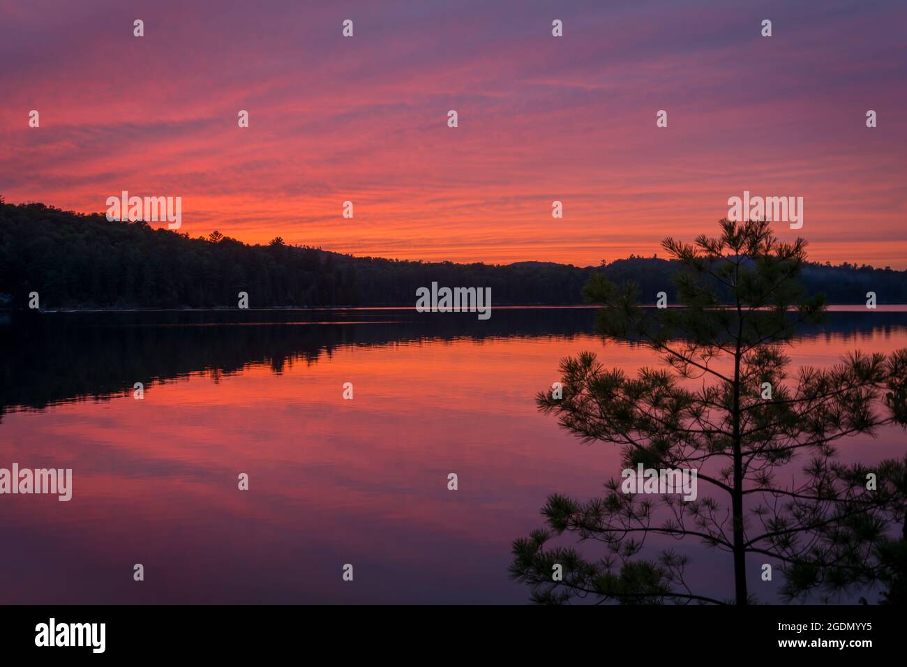 Friedlicher Campingmoment bei Sonnenuntergang Stockfoto