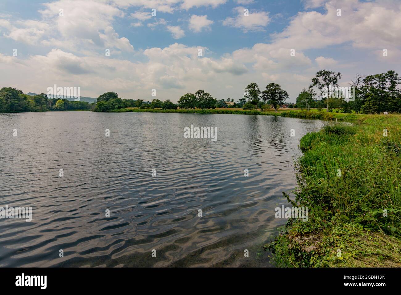 Chingford Pond, Burton Park, West Sussex, England, Großbritannien. Stockfoto