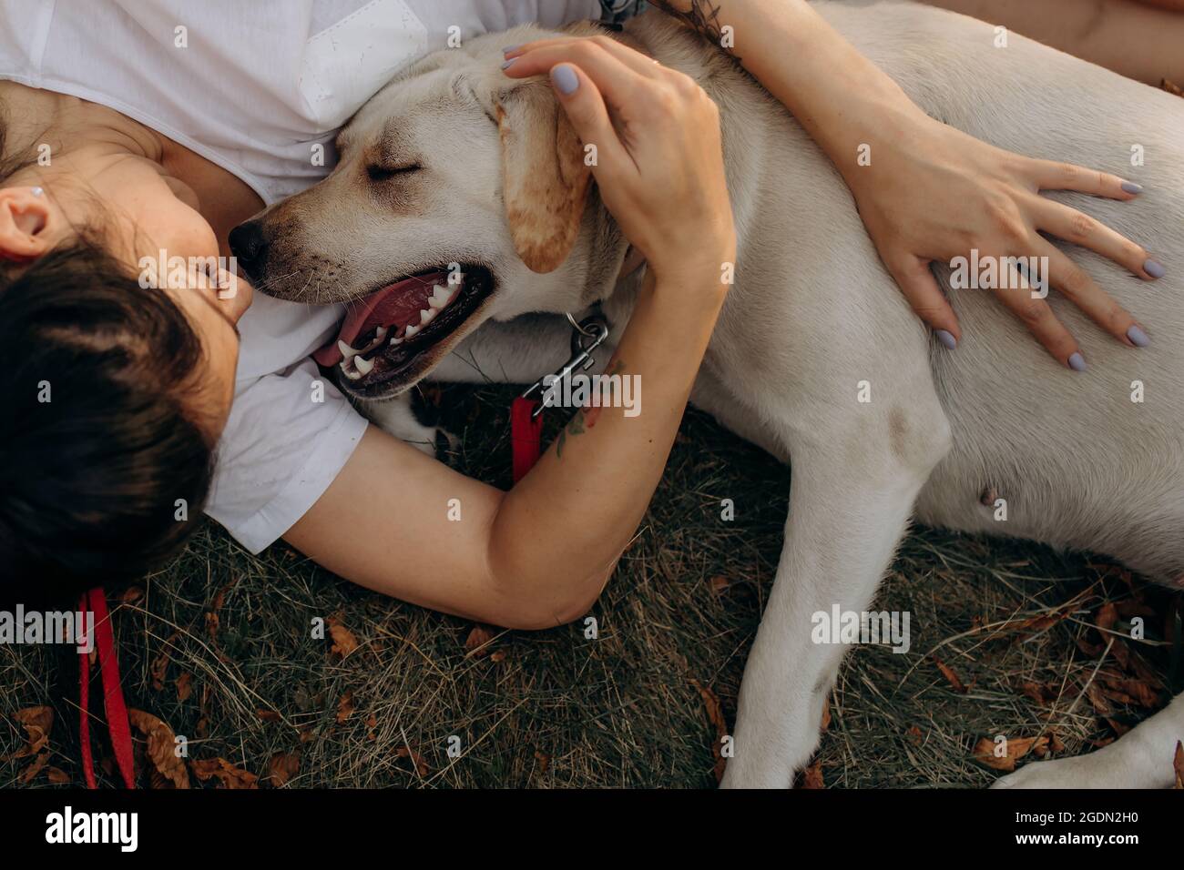 Frau umarmt ihren Labrador im Freien. Lebensstil und Tierpflege Konzept. Stockfoto