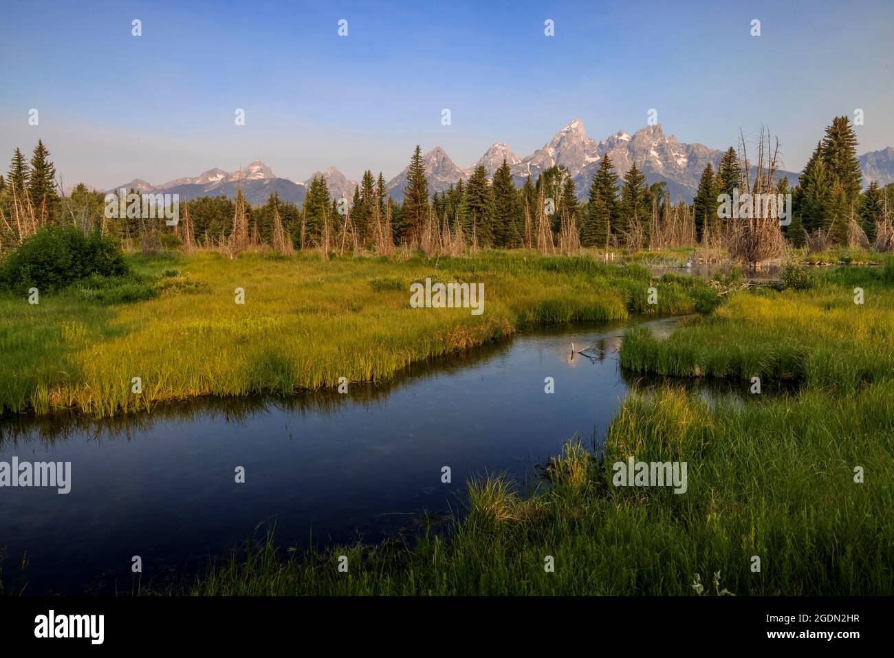 Sonnenaufgang bei Schwabacher's Landing im Grand Teton National Park. Stockfoto