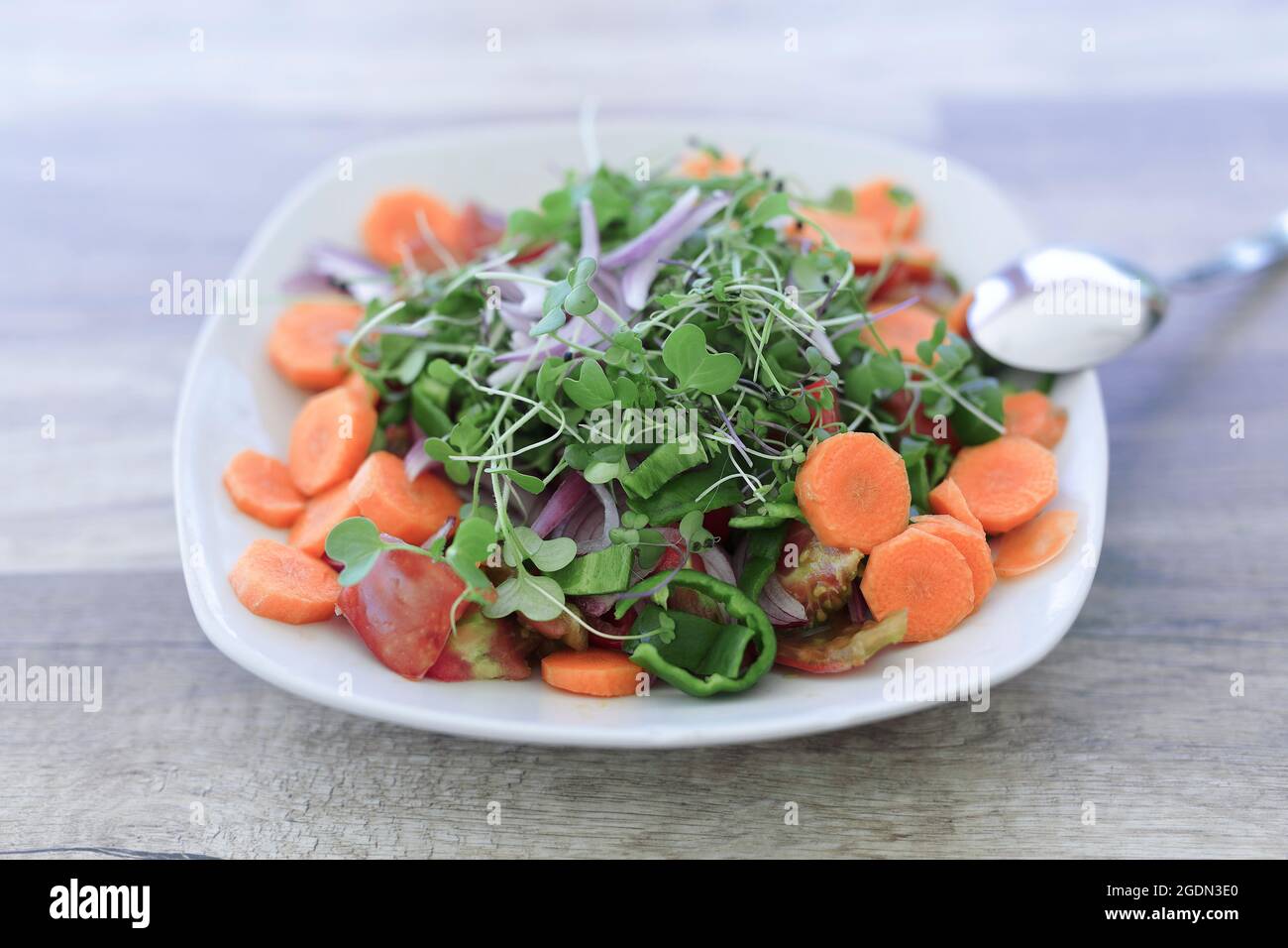 Veganer Salat mit Bio-Produkten aus Alicante, auf einem natürlichen Holztisch. Stockfoto