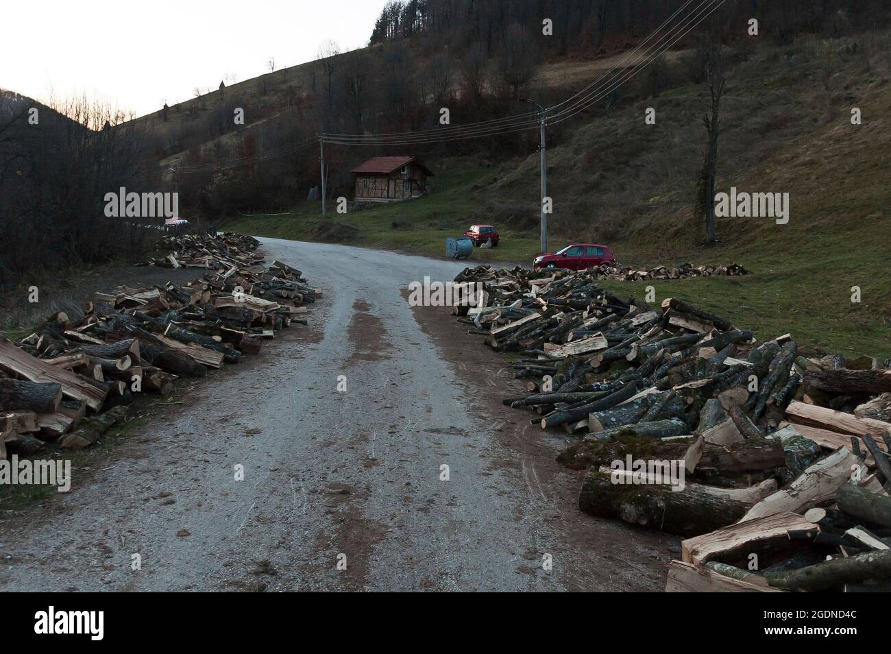 Blick auf einen Holzstapel vor dem Hintergrund eines Holzwaldes in der Nähe des Dorfes Vasiliovo, Teteven, Bulgarien Stockfoto