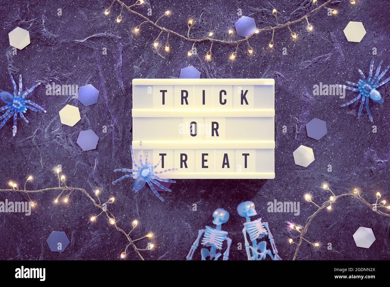 Halloween-Dekor, Wörter Trick or Treat auf Textfeld. Minimalistischer Halloween Hintergrund mit blassgrünen Skeletten und Geisterspinnen. Dunkler Hintergrund mit Stockfoto