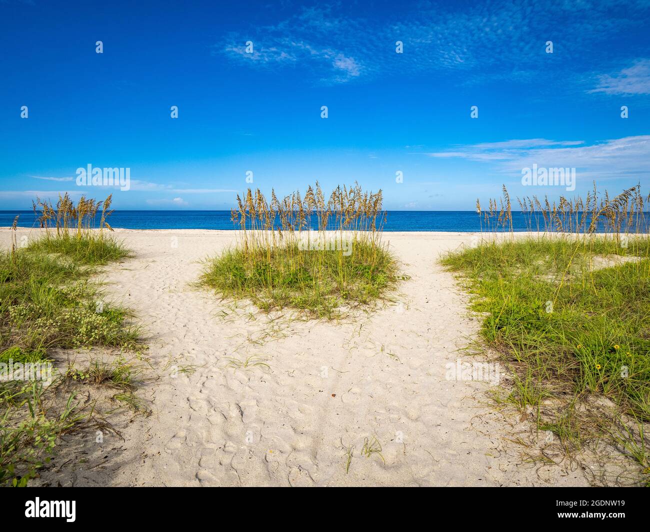 Pfad zum Nokomis Beach im Südwesten Floridas am Golf von Mexiko in Nokomis Florida USA Stockfoto