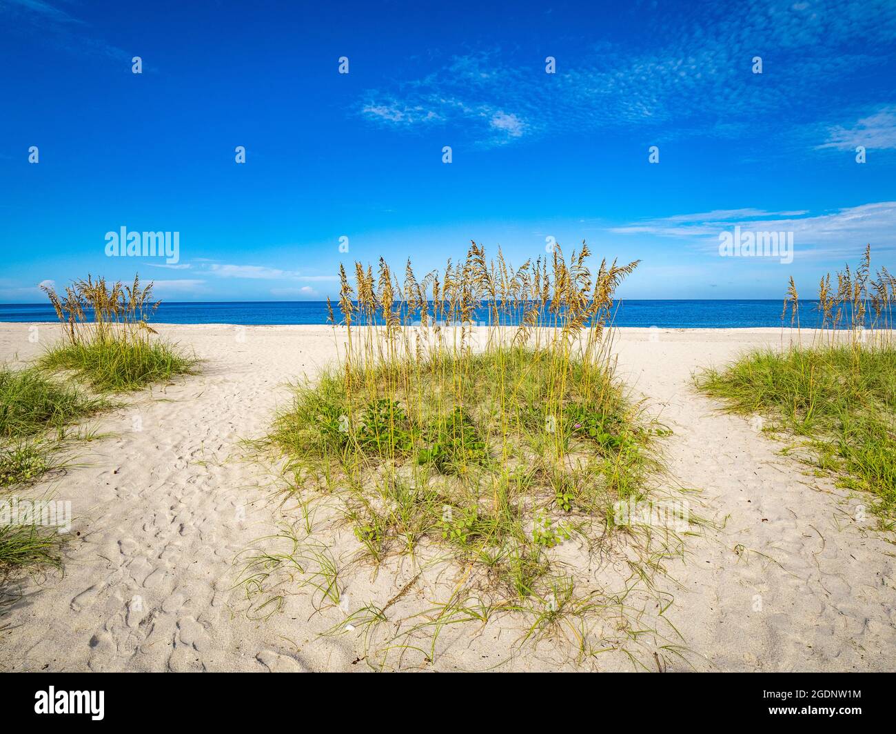 Pfad zum Nokomis Beach im Südwesten Floridas am Golf von Mexiko in Nokomis Florida USA Stockfoto