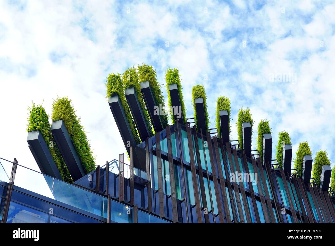 Grünes Stadtbaudach von Ingenhoven Architects in Düsseldorf - ein Projekt, um die Stadt grüner zu machen. Die Pflanzen dienen als natürliche Klimaanlage. Stockfoto